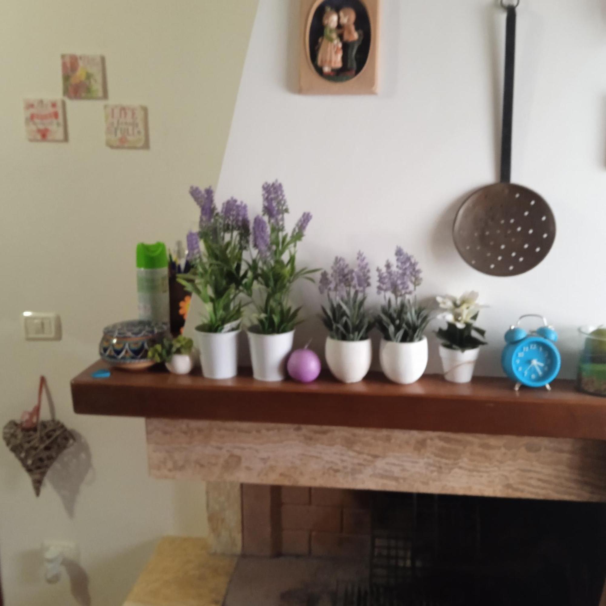 Apartmán La Mia Acera Exteriér fotografie